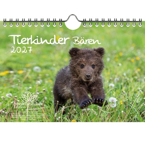 Tierkinder bären din - tierkinder,