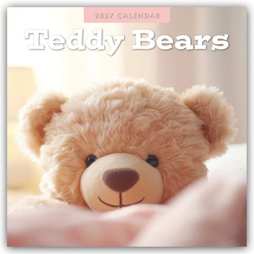 Teddy bears teddybären 2027 - teddy,