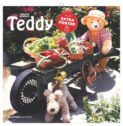 Teddy 2027 wandkalender 30x30 - teddy,