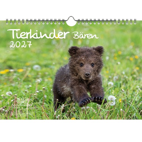 Tierkinder bären din - tierkinder, a4