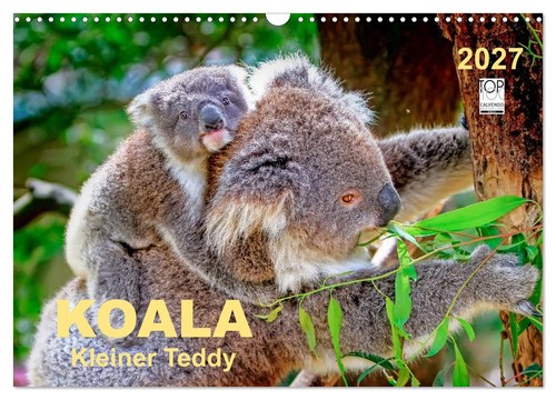 Koala kleiner teddy - kleiner,